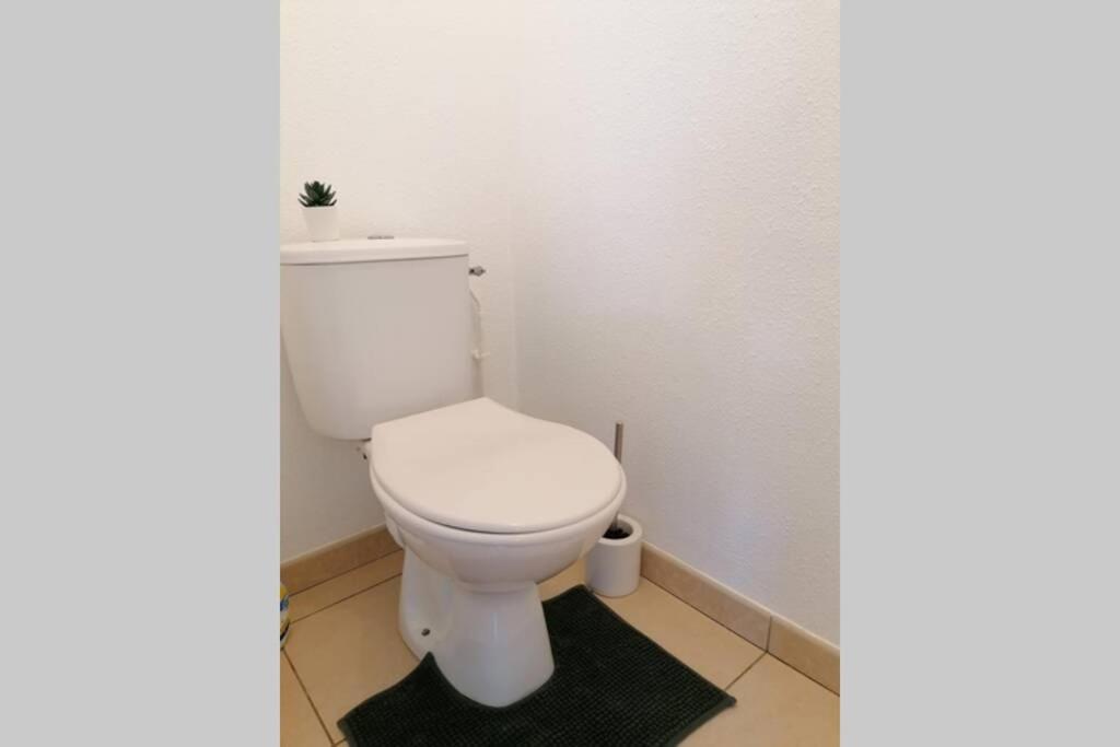 T2 Entier - Hyper Centre - Cosy Home Grenade-sur-Garonne Экстерьер фото